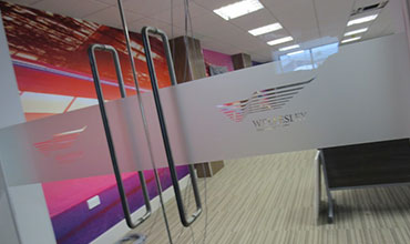 Window Frosting, Vinyl Eched Crystal & Glass Manifestation